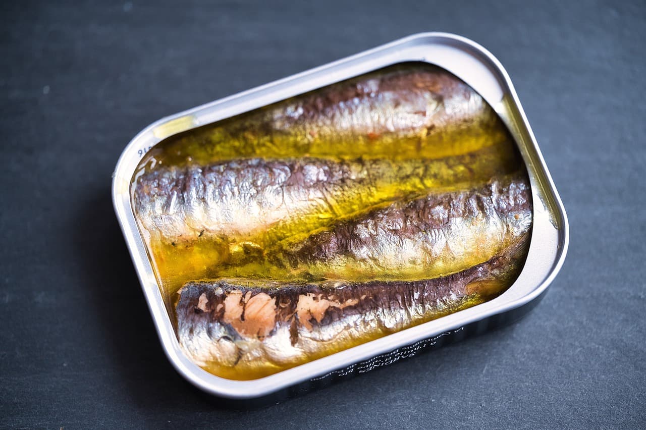 sardines