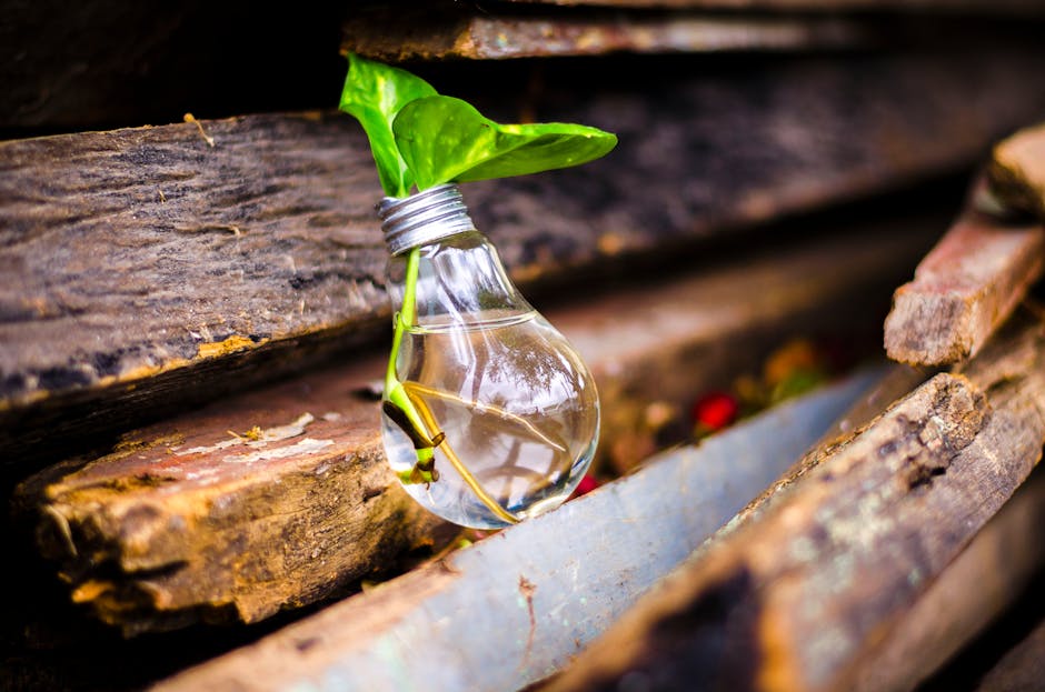 Biomimicry: Nature’s Genius for Your Next Big Innovation