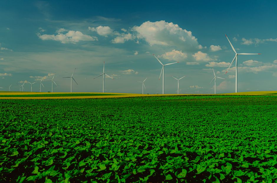 Circular Economy Design Principles