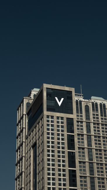 Corporate Venture Capital Fund Structure