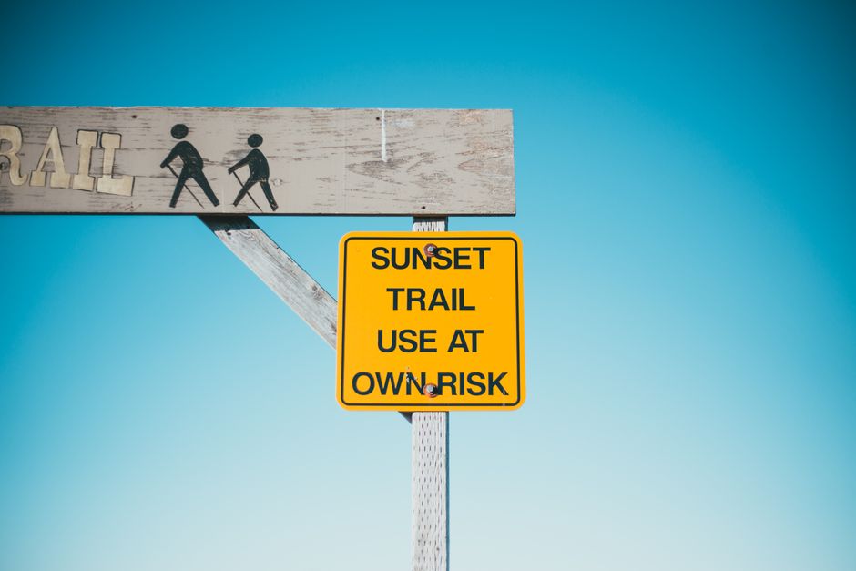 Understanding Risk Appetite in Innovation