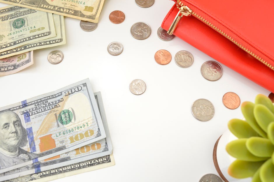 Venture Capital for Startups
